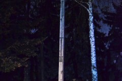 DSC_0196