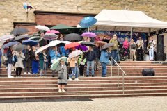 213